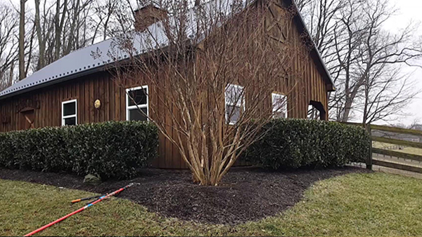 Brown Barn With Pruned Crape Myrtle