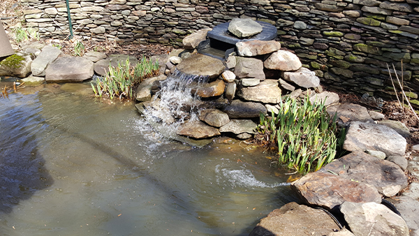 BioFalls Running With Cutback Pond Plants