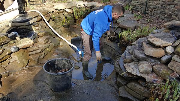 Pond Crew Member Standing in Drained Pond Preparing To Clean It